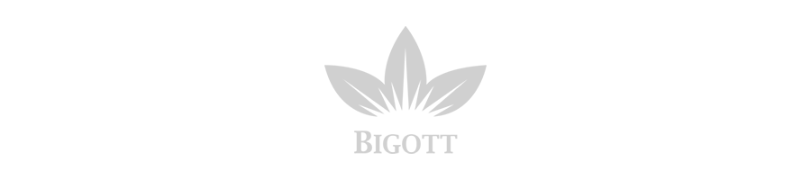 bigott 2